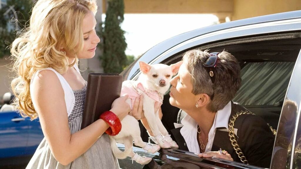 ภาพยนตร์น้องหมา 10 เรื่องสุดประทับใจ ไม่ควรพลาด Beverly Hills Chihuahua (2008)