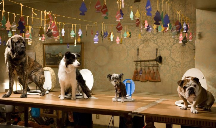 ภาพยนตร์น้องหมา 10 เรื่องสุดประทับใจ ไม่ควรพลาด Hotel for Dogs (2009)