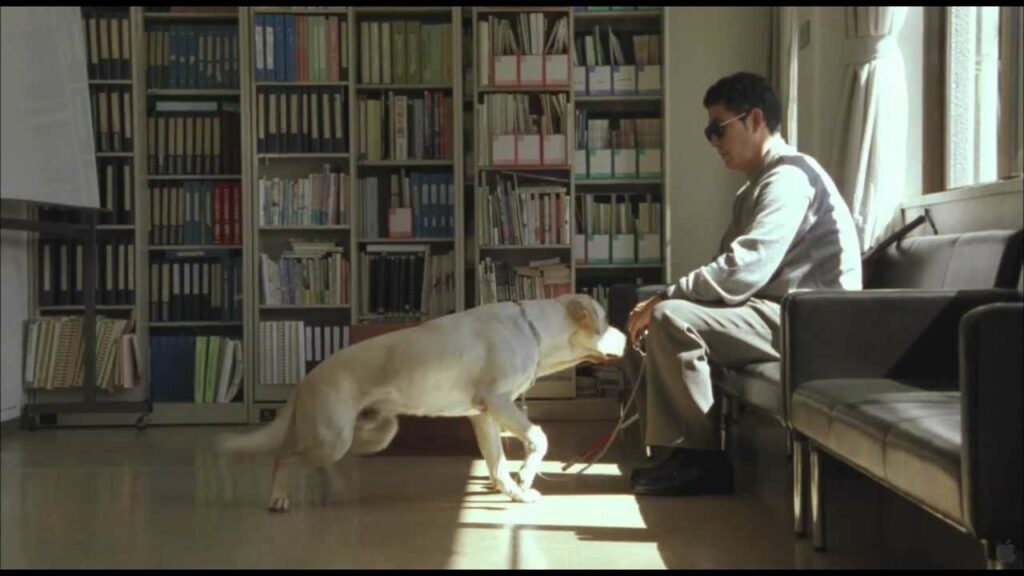 Quill – The Life of a Guide Dog (2004)